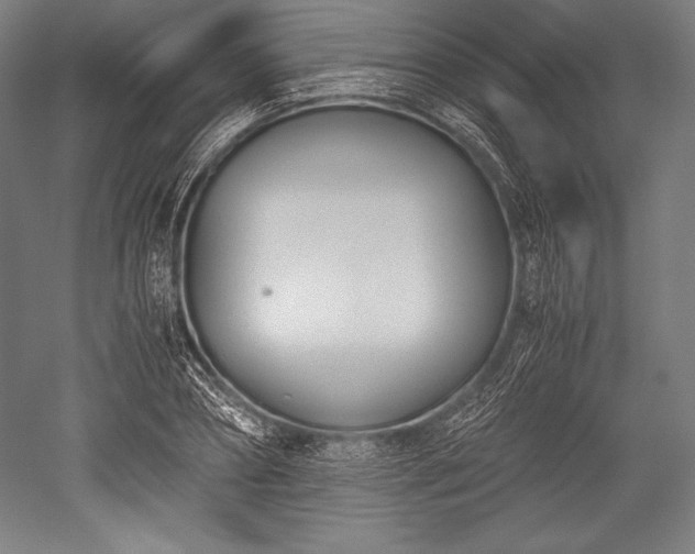 X0000052550882200507081606