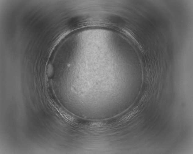 X0000052550883200507081606