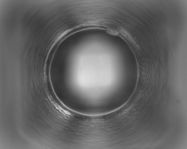 X0000052550884200507081606