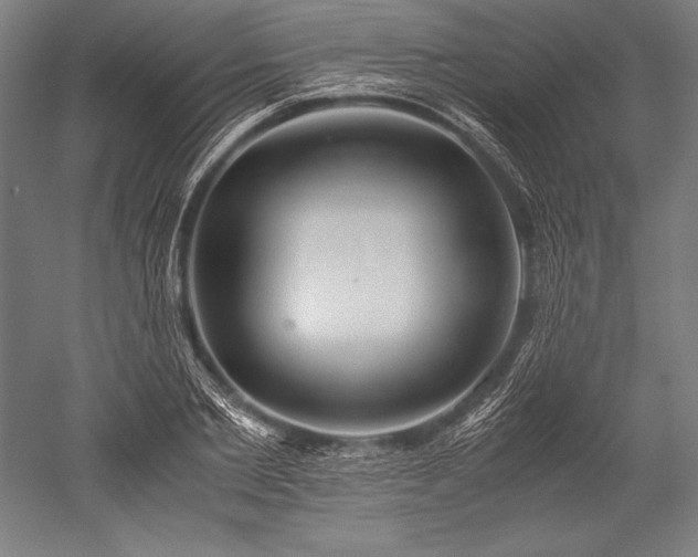 X0000052550885200507081606