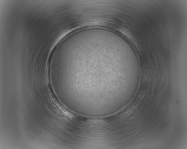 X0000052550886200507081606