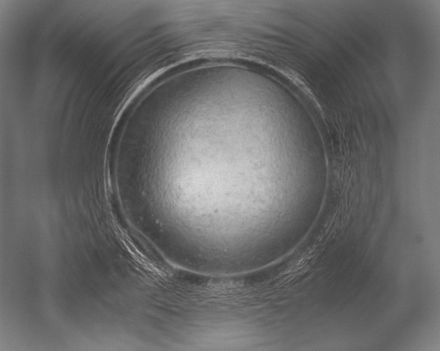 X0000052550887200507081606