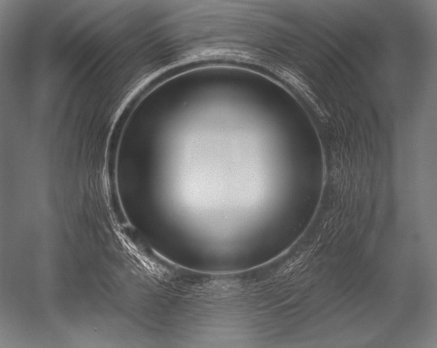 X0000052550888200507081606