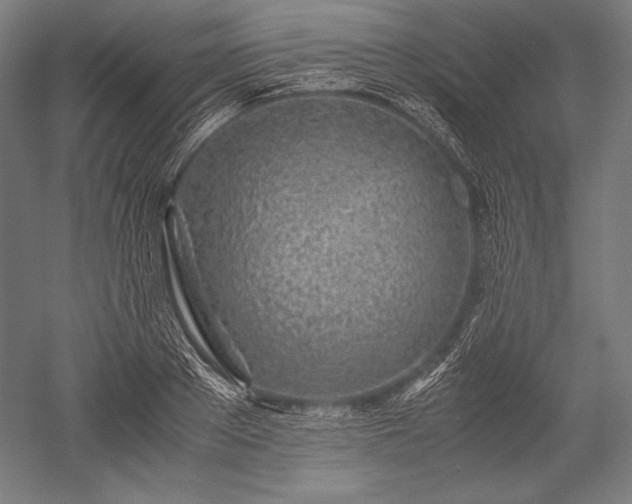 X0000052550889200507081606