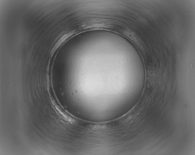 X0000052550890200507081606