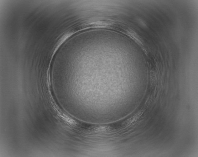 X0000052550891200507081606