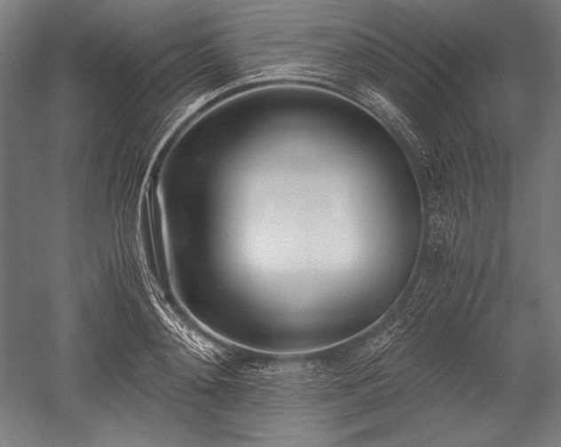 X0000052550892200507081606