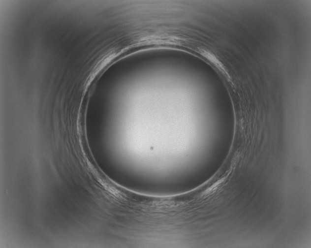 X0000052550893200507081606