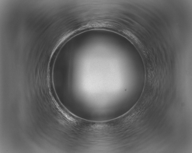 X0000052550894200507081606