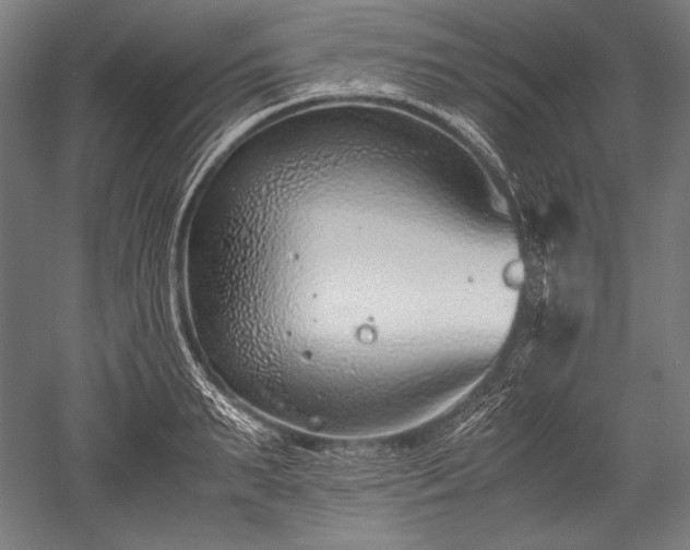 X0000052550895200507081606