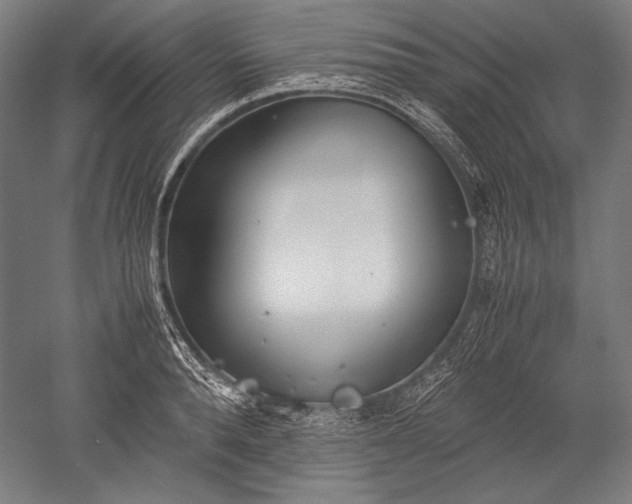 X0000052550896200507081606