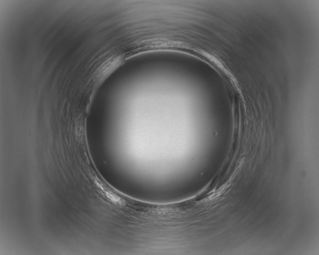 X0000052550897200507081606