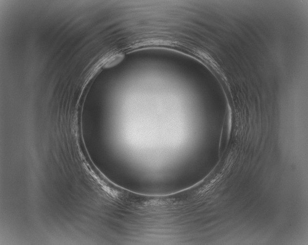 X0000052550898200507081606