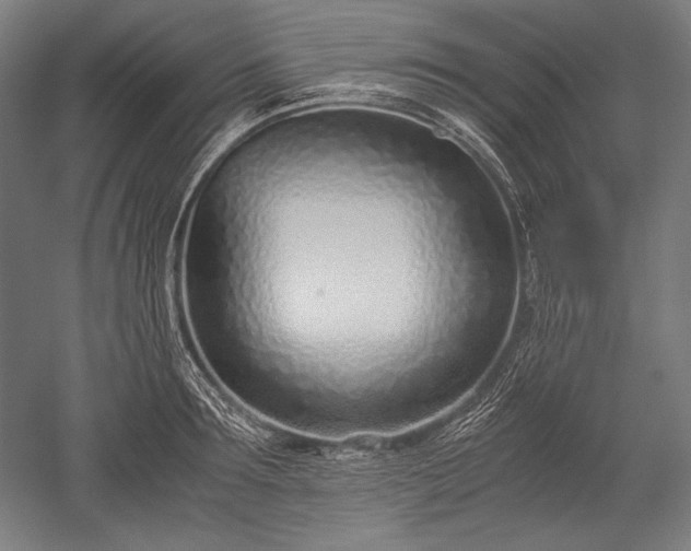 X0000052550899200507081606