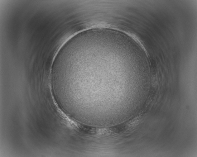 X0000052550903200507081606