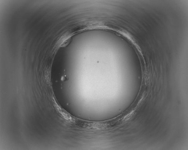 X0000052550905200507081606