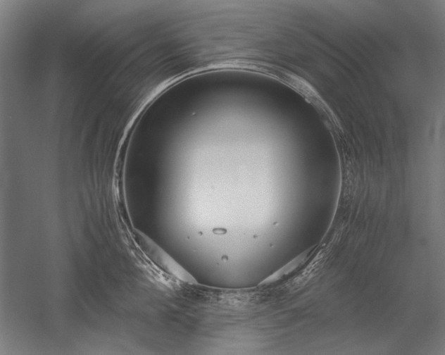 X0000052550908200507081606