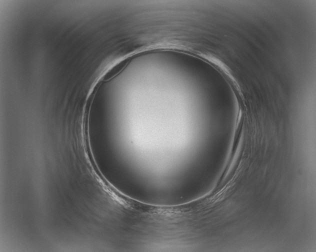 X0000052550910200507081606