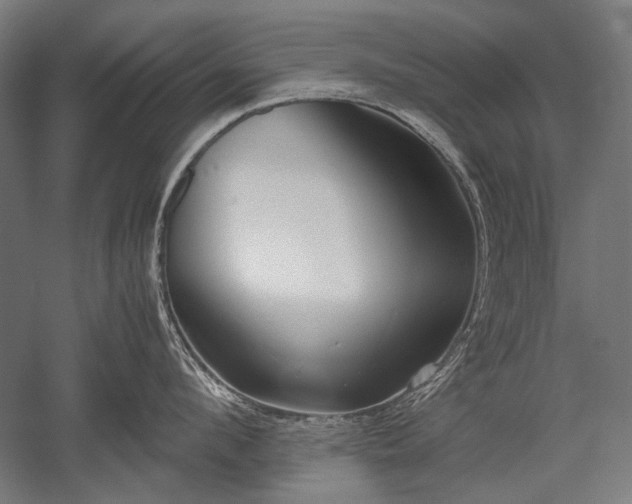 X0000052550912200507081606