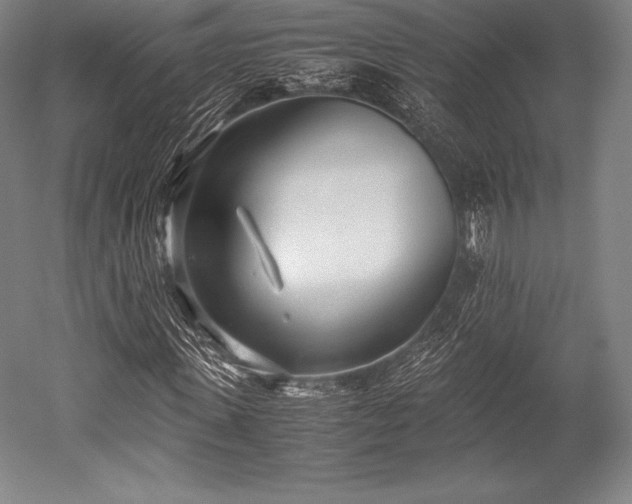 X0000052550915200507081605