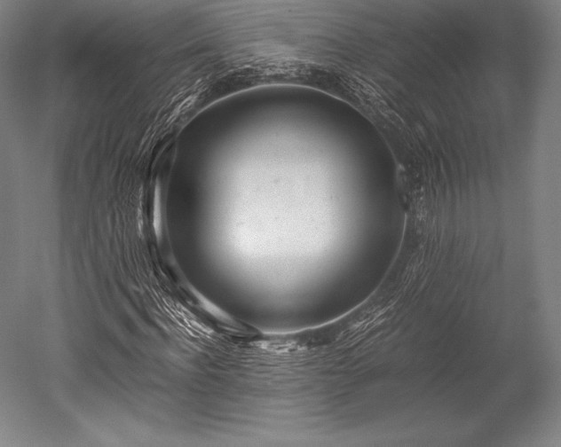 X0000052550916200507081605