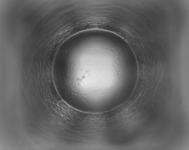 X0000052550917200507081605