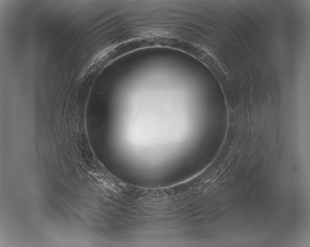 X0000052550919200507081605