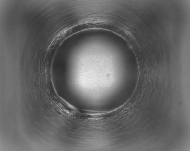 X0000052550920200507081605