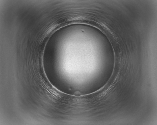 X0000052550921200507081605