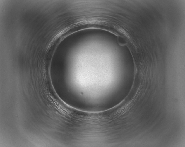 X0000052550922200507081605