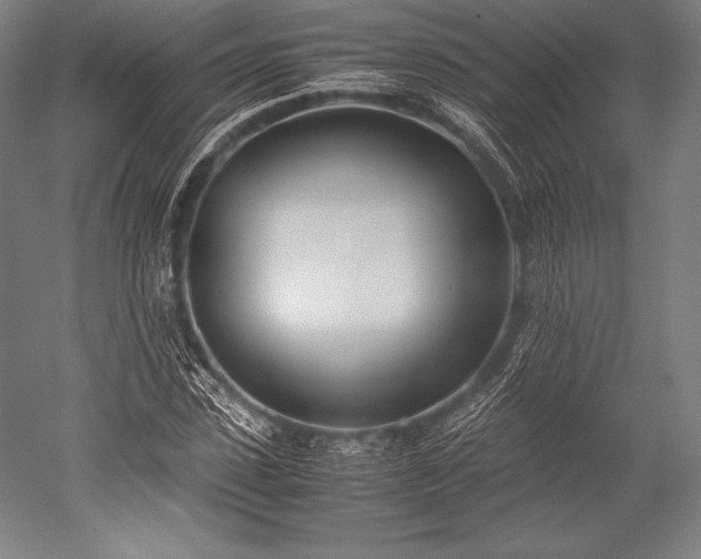 X0000052550923200507081605