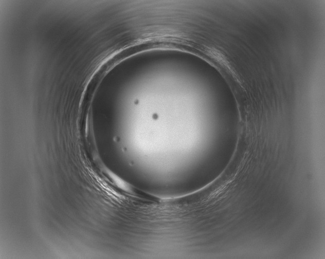 X0000052550924200507081605