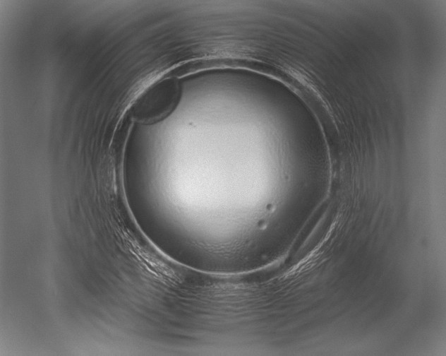 X0000052550925200507081605