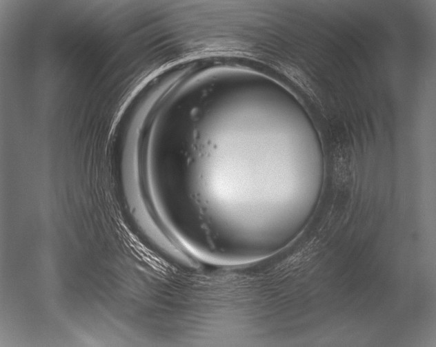 X0000052550926200507081605