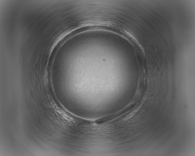 X0000052550928200507081605