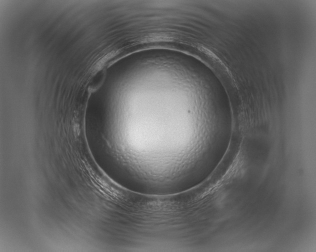 X0000052550929200507081605