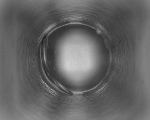 X0000052550930200507081605