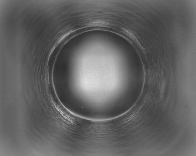 X0000052550931200507081605