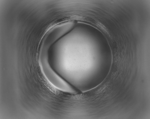 X0000052550932200507081605