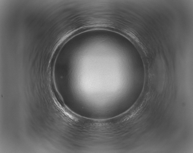 X0000052550933200507081605