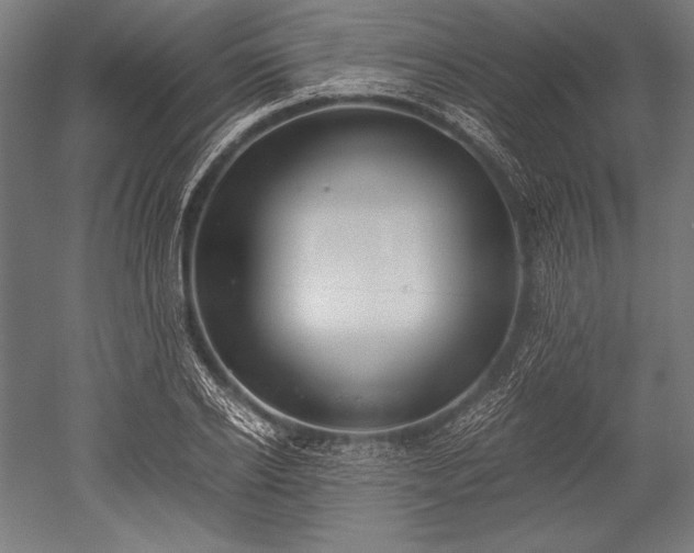 X0000052550934200507081605