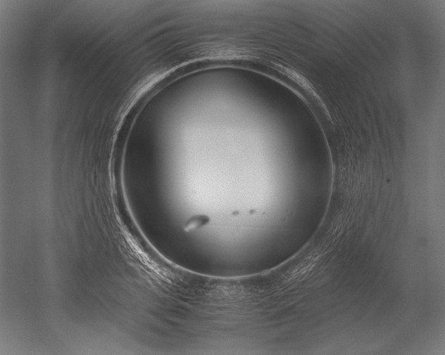 X0000052550935200507081605