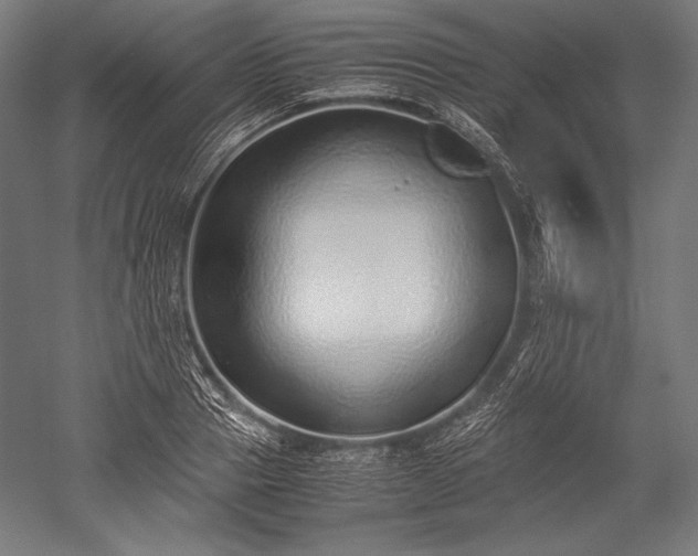 X0000052550937200507081606