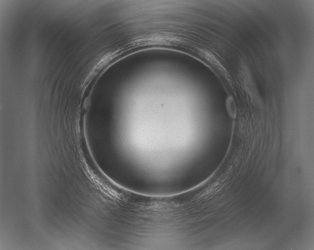 X0000052550938200507081606