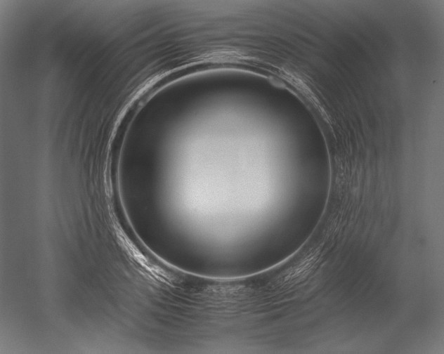 X0000052550939200507081606