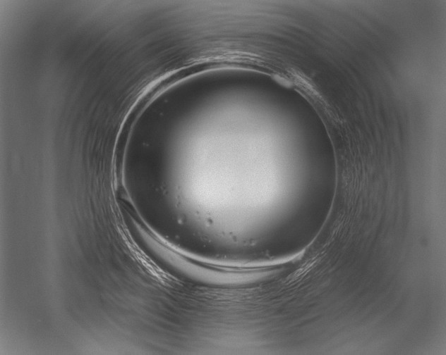 X0000052550940200507081606