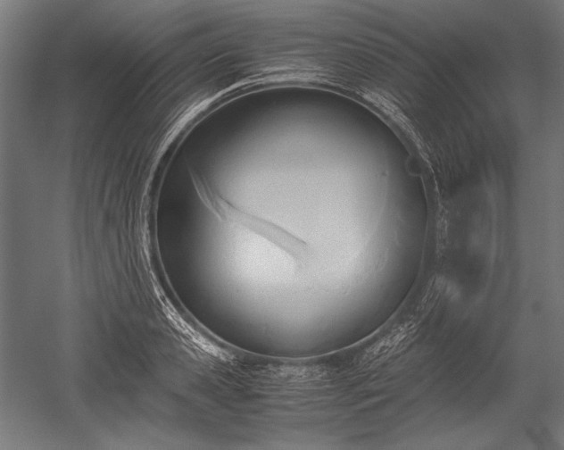 X0000052550941200507081606