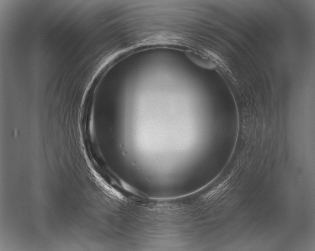 X0000052550942200507081606