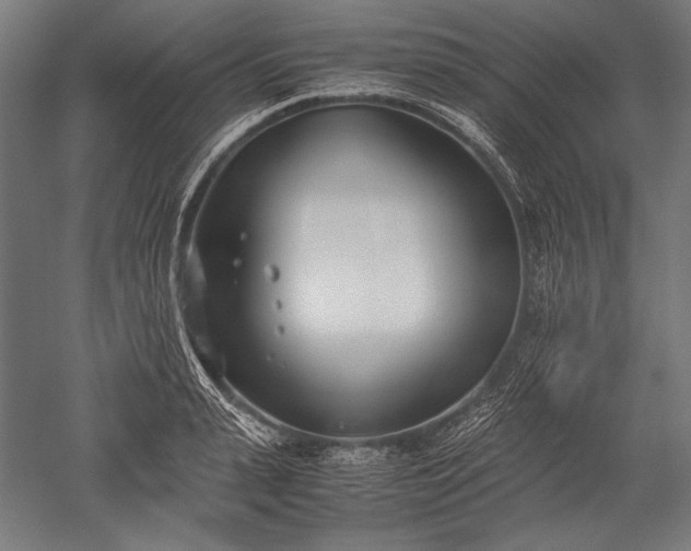 X0000052550943200507081606