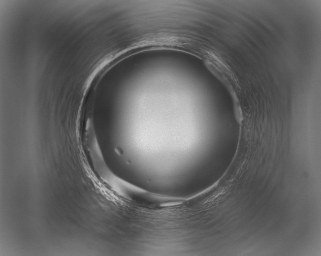 X0000052550944200507081606